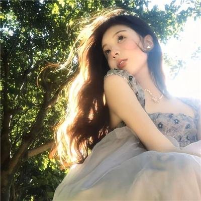 贵族精英